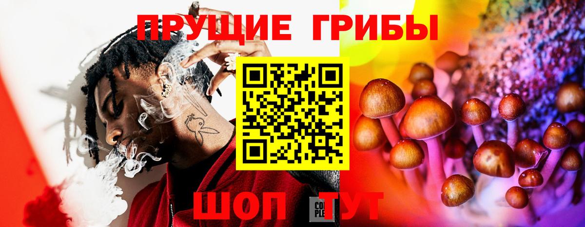 Псилоцибиновые грибы Cubensis  Вход с VPN  Каспийск 